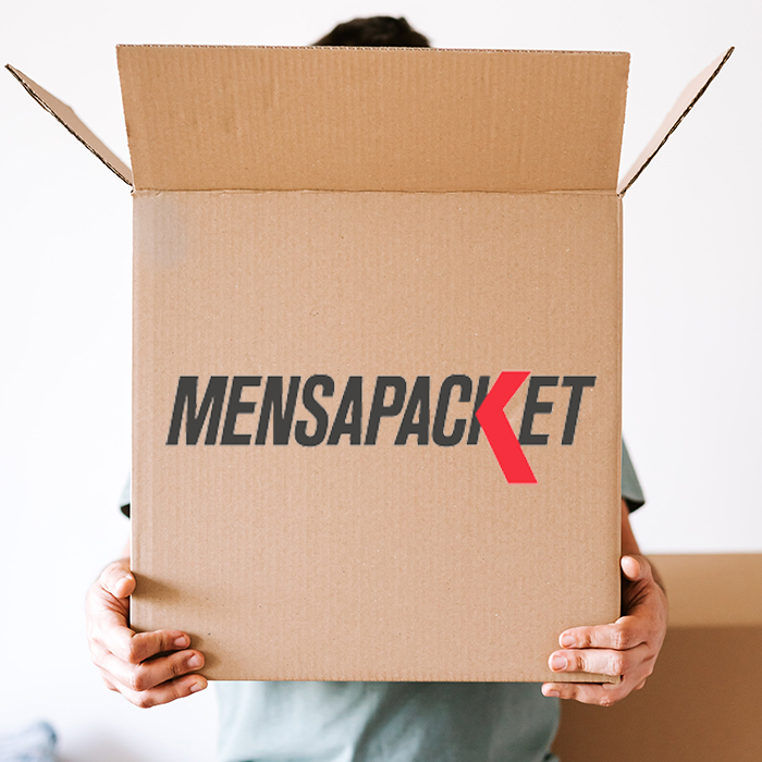 diseno web mensajeria valencia catalogo mensapacket