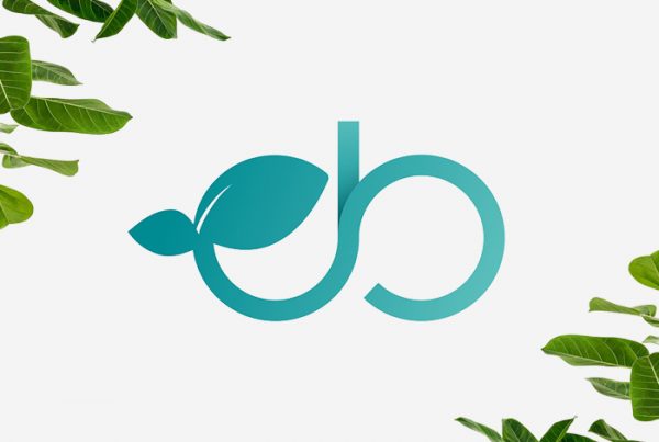 biond naming branding packaging diseno web valencia
