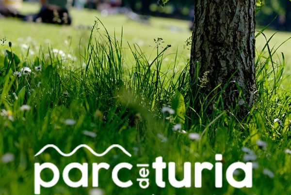 diseno parc turia parque zonas verdes valencia naturaleza familia paseo branding web