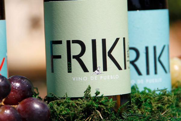 vino friki enologia castilla leon wine diseno web valencia