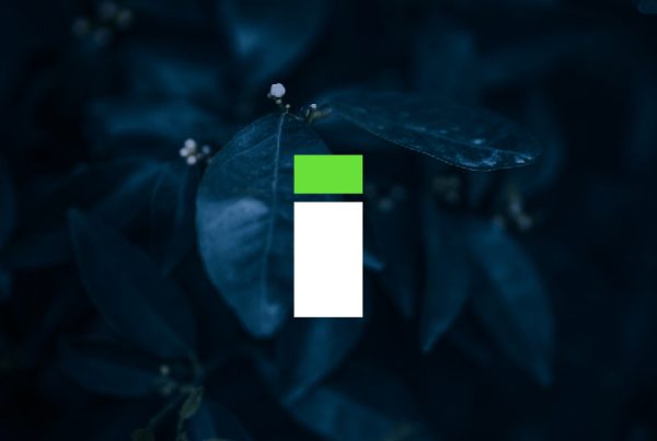 outsiders diseno web agronomia valencia