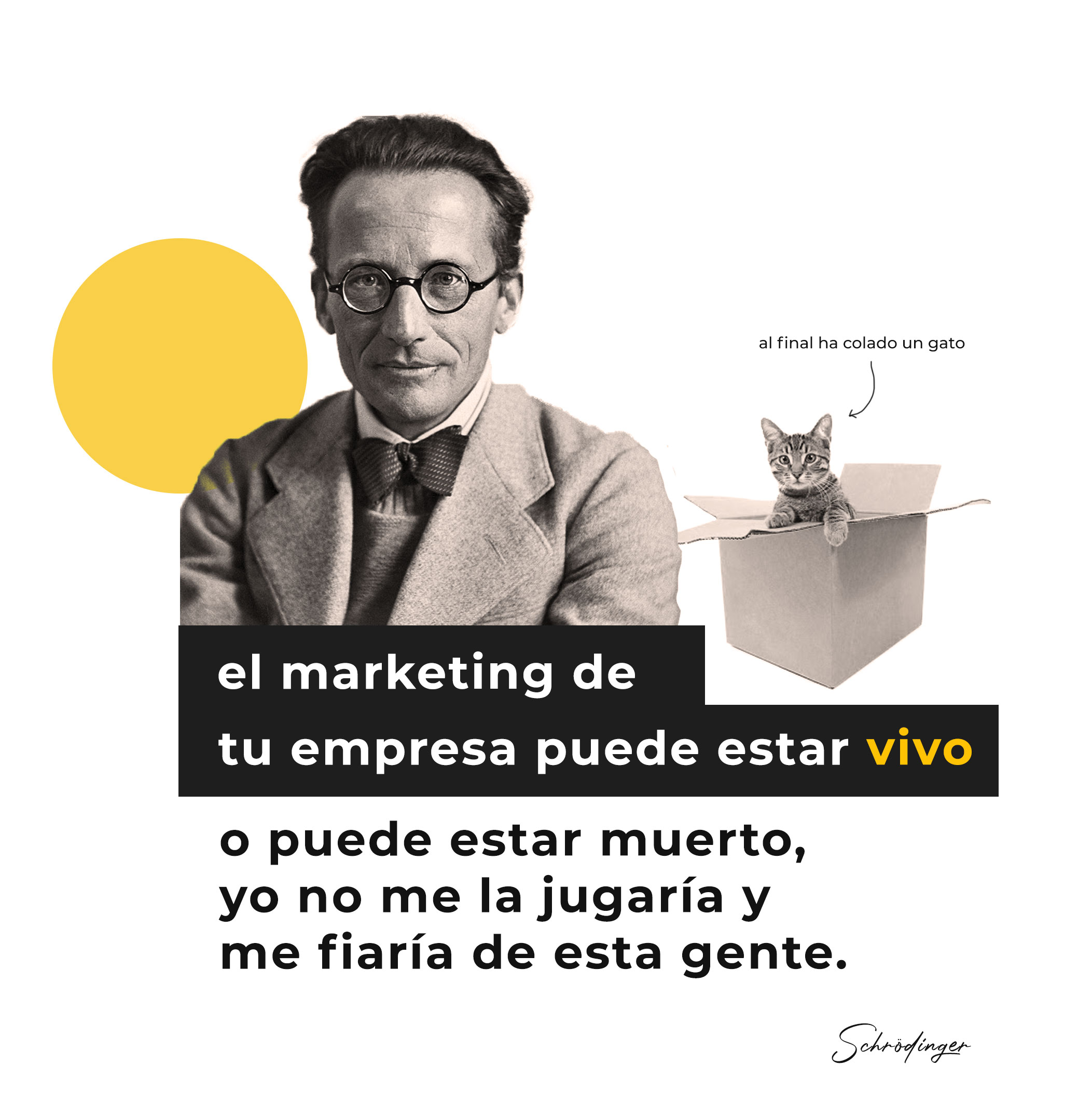 opinion-agencia-marketing-creativo-en-valencia